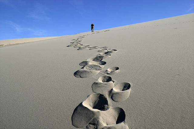 footprints by Vu Bui