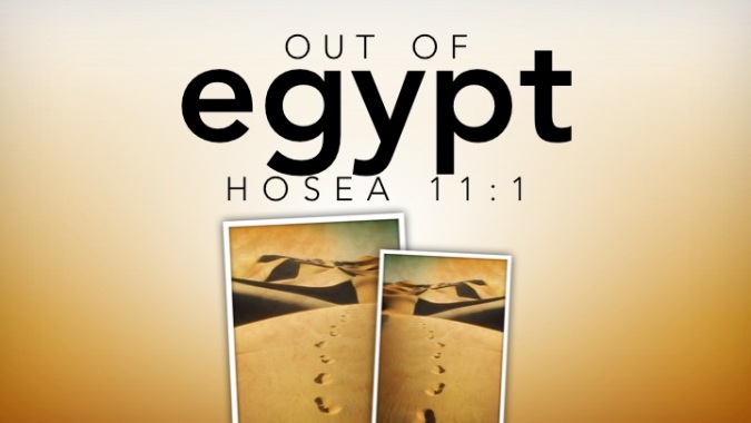 Hosea 8-14