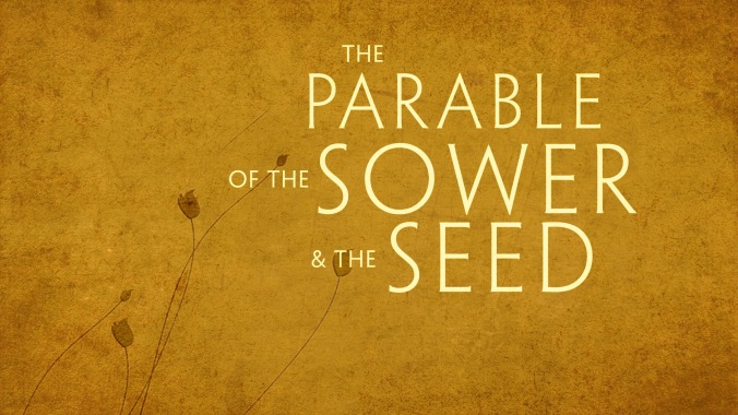 Parable of the Sower and the Seed_wide_t_nv